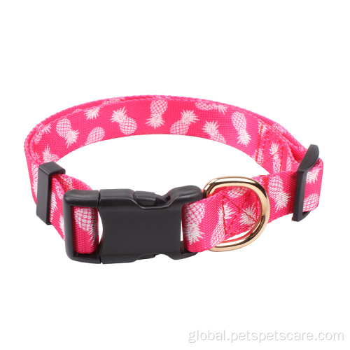 Pet Leashes best quality print design dog collars Supplier